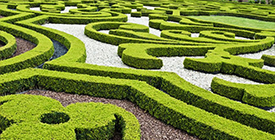 Garden Maze