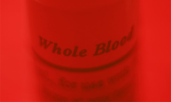 whole blood shot