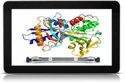 BioSeparations Webinar